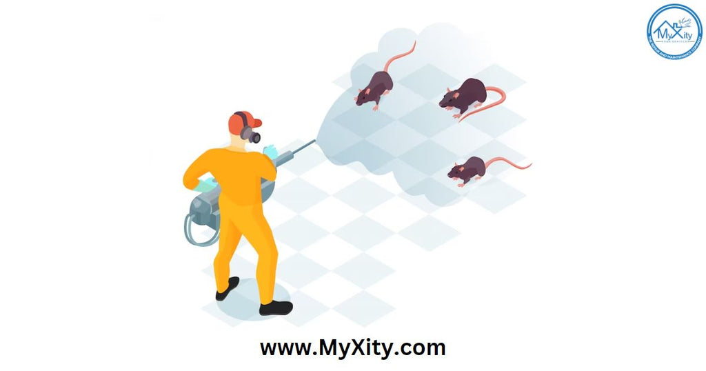 The Essential Guide to Pest Control Services in Chennai