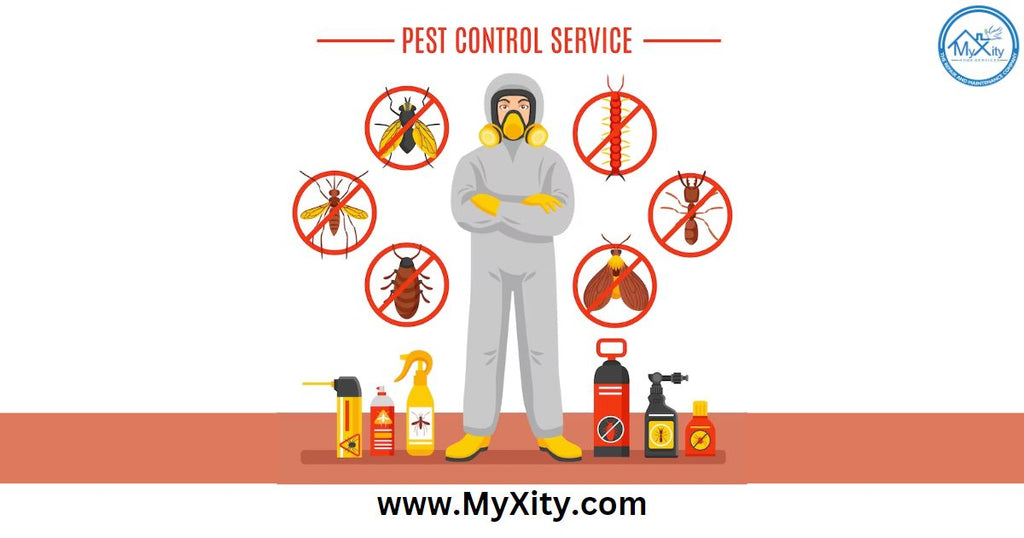Tips for Finding the Right Pest Control Company for Your Home or Business